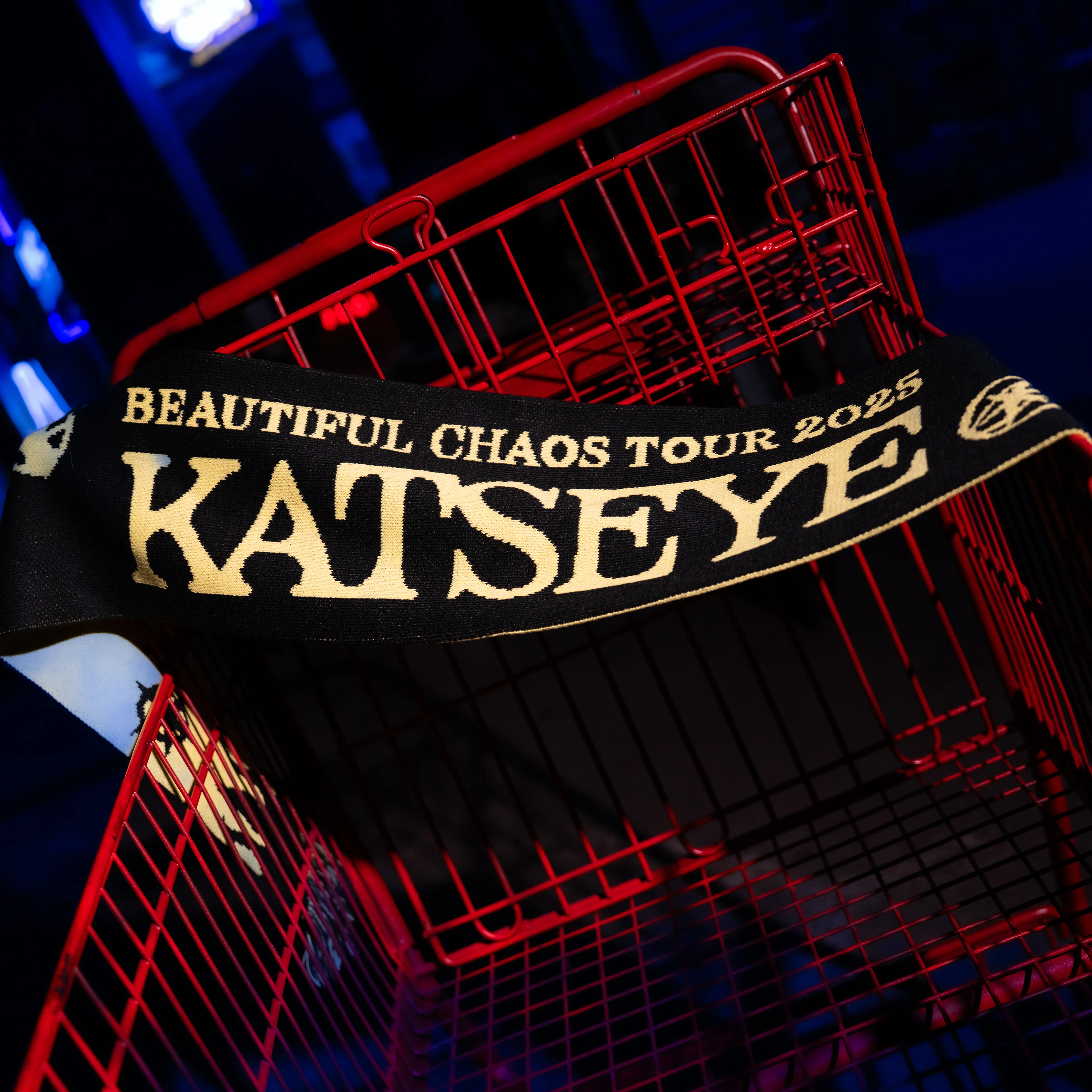 BEAUTIFUL CHAOS Slogan Muffler - Image 8