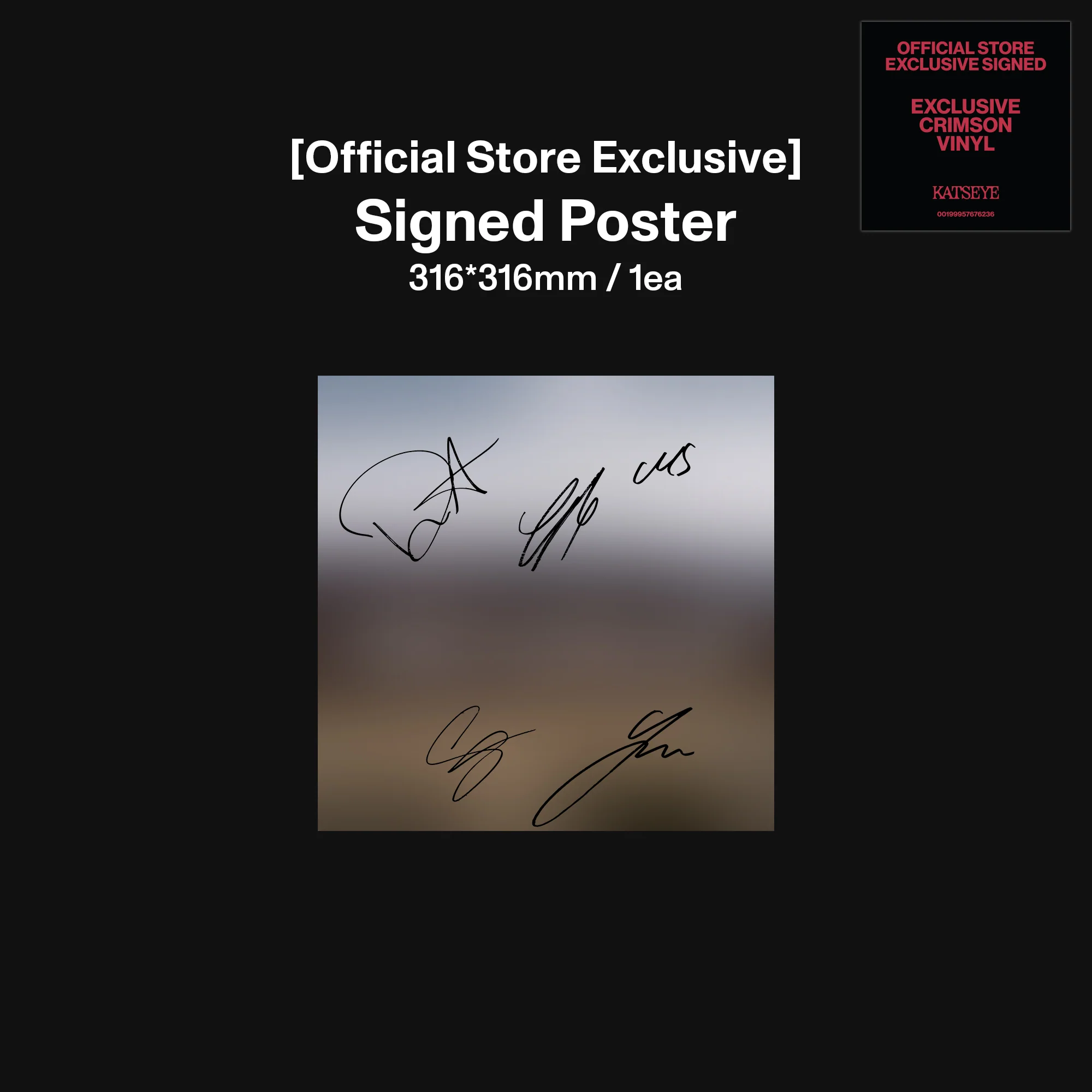 WILD - Official Store Exclusive Signed Vinyl - Image 3