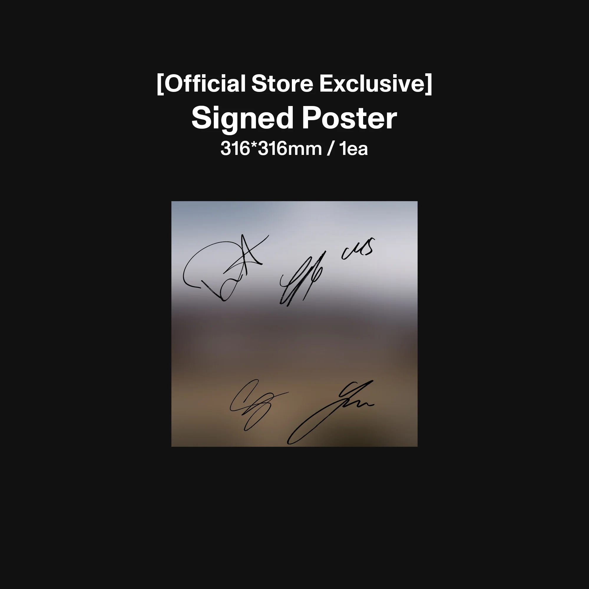 WILD - Standard Signed Vinyl - Image 3